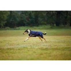 WeatherBeeta Hondendeken ComFiTec Premier Deluxe Waterproof Navy/Burgundy