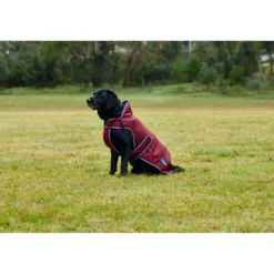 WeatherBeeta Hondendeken ComFiTec Premier Deluxe Waterproof Burgundy/Navy