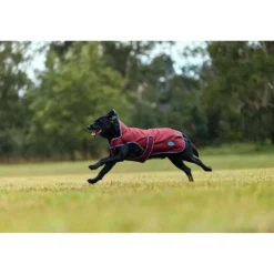 WeatherBeeta Hondendeken ComFiTec Premier Deluxe Waterproof Burgundy/Navy