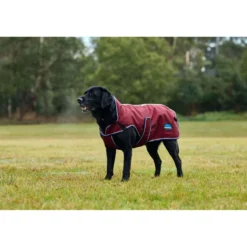 WeatherBeeta Hondendeken ComFiTec Premier Deluxe Waterproof Burgundy/Navy