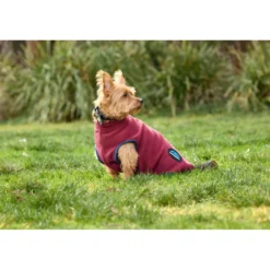 WeatherBeeta Hondendeken ComFiTec Fleece Zip Burgundy/Navy