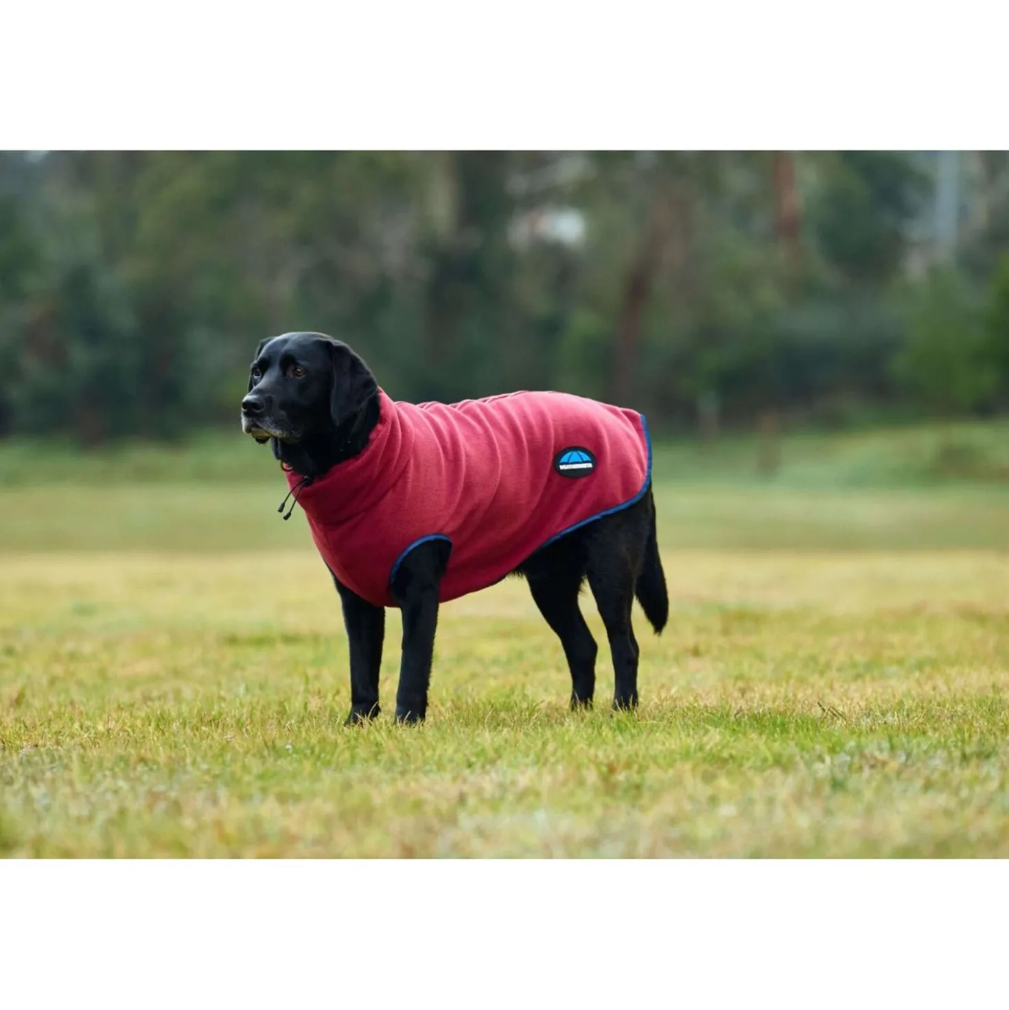 WeatherBeeta Hondendeken ComFiTec Fleece Zip Burgundy/Navy