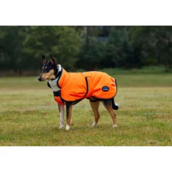 WeatherBeeta Hondendeken ComFiTec Reflective 300D Deluxe Showerproof Oranje