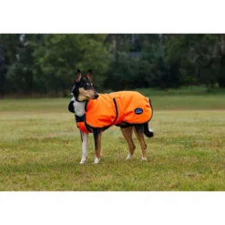 WeatherBeeta Hondendeken ComFiTec Reflective 300D Deluxe Showerproof Oranje