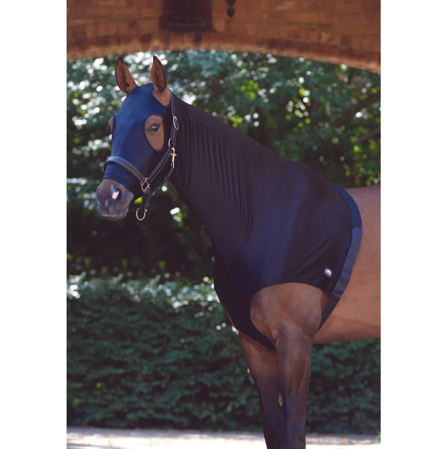 WeatherBeeta Hood Stretch with Zip Black