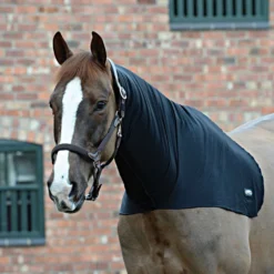 WeatherBeeta Neck Rug Stretch Black