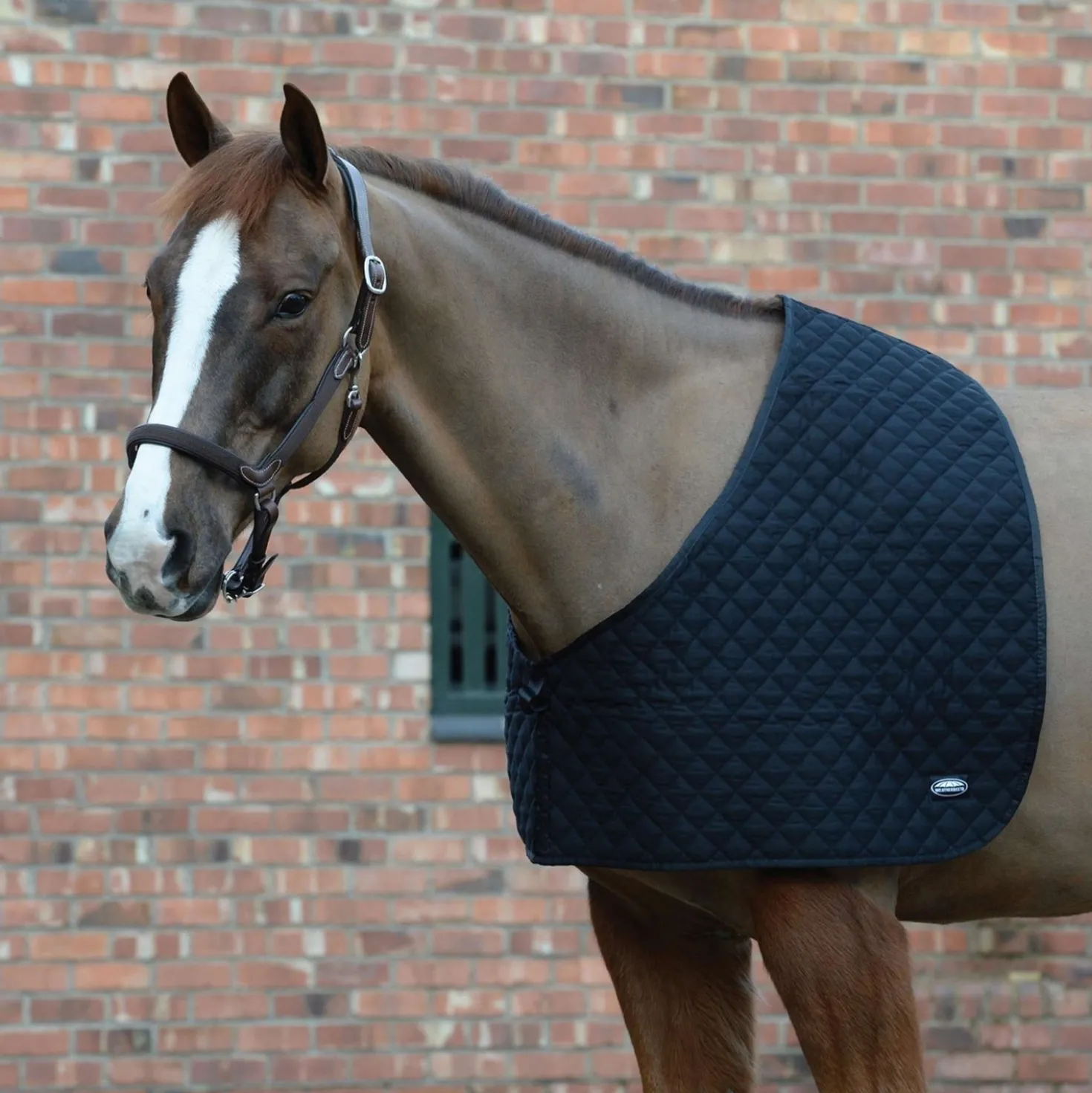 WeatherBeeta Shoulder Guard Deluxe Black