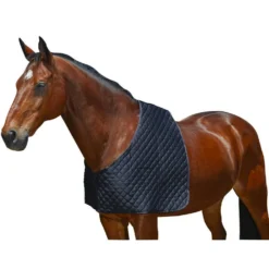 WeatherBeeta Shoulder Guard Deluxe Black