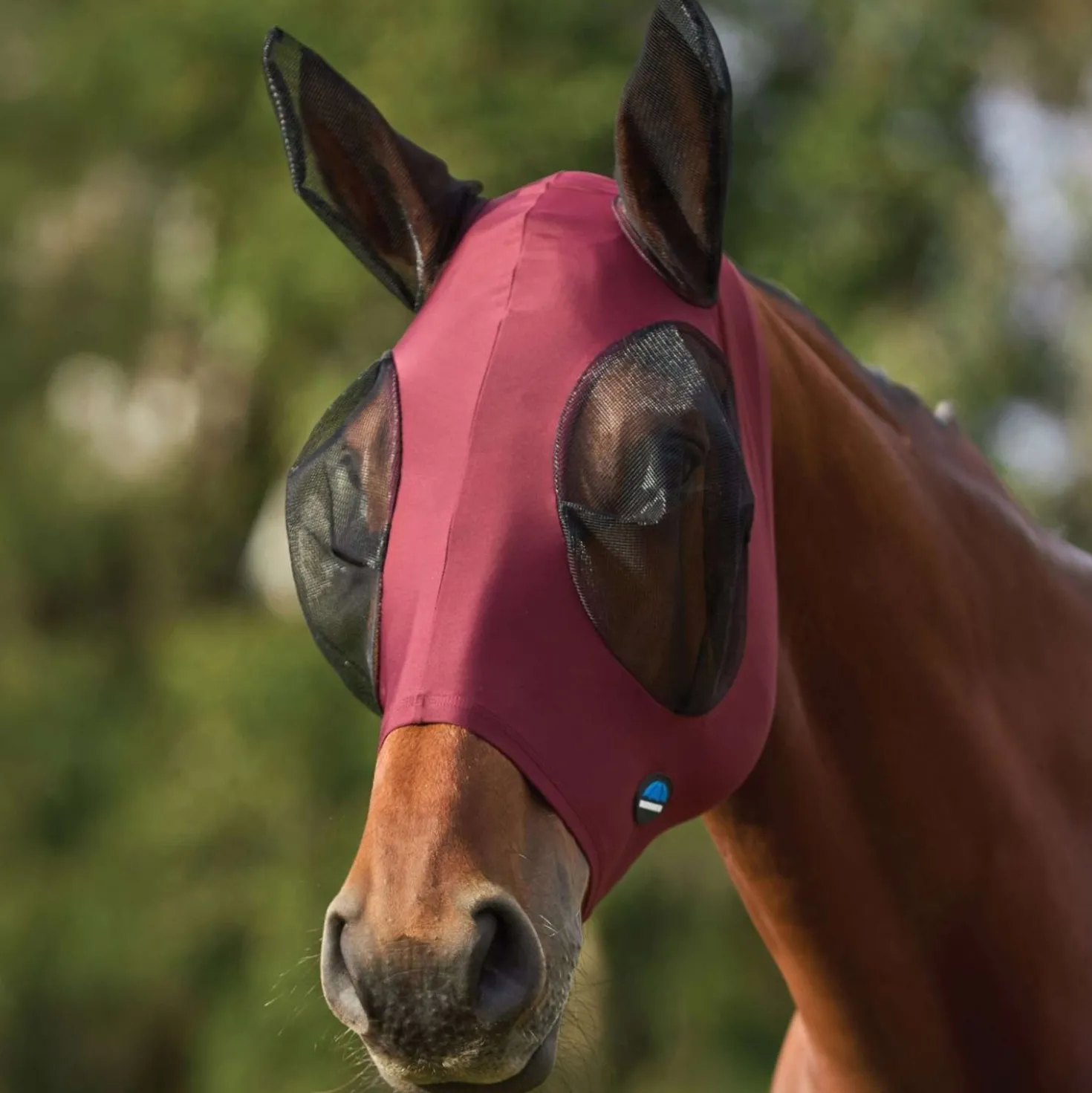 WeatherBeeta Vliegenmasker ComFiTec Stretch met Oren Burgundy/Zwart