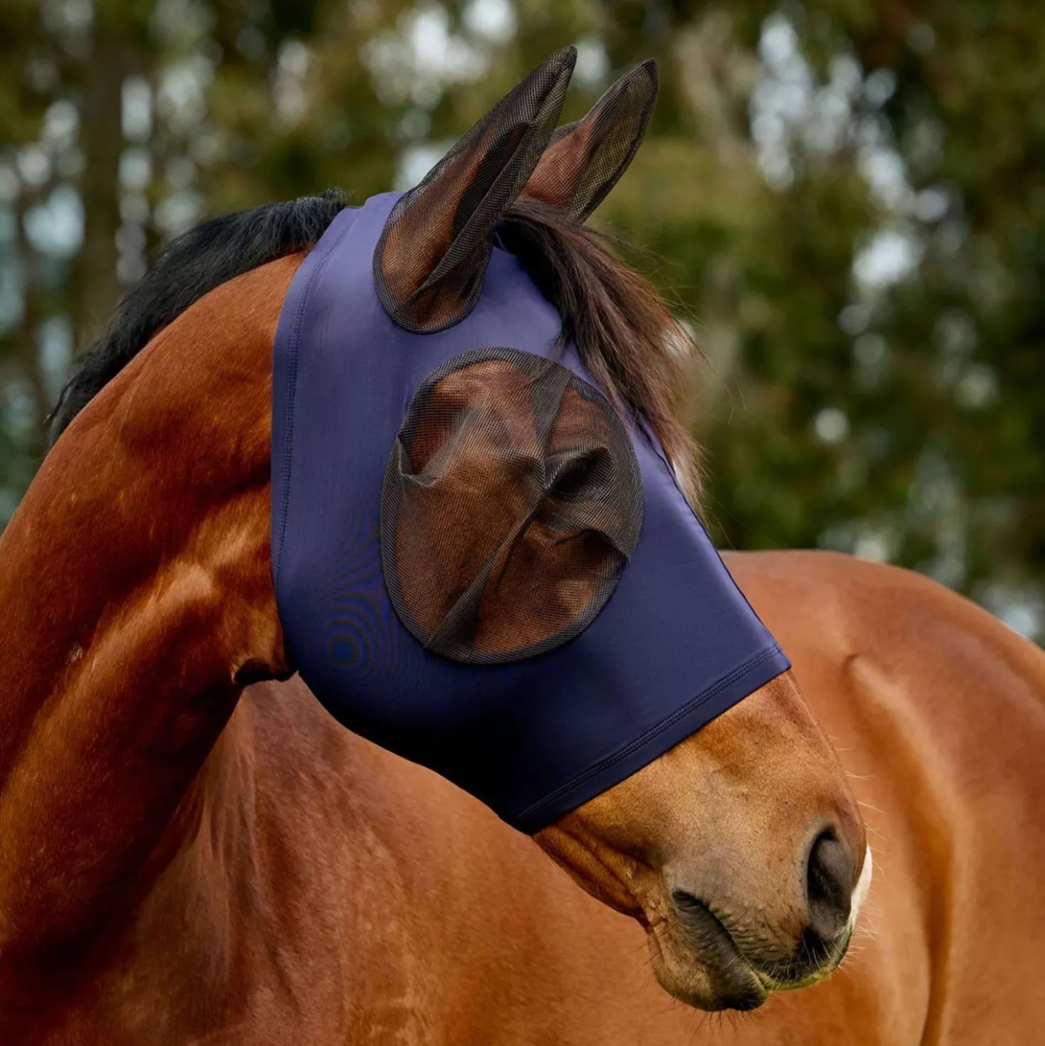 WeatherBeeta Vliegenmasker ComFiTec Deluxe Stretch met Oren Navy/Zwart
