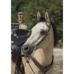Westride Hoofdstel Oreille Choco