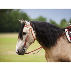 Westride Hoofdstel Two Tone Hazelnoot/Naturel