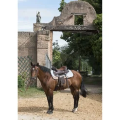Westride Vilten Pad Grijs