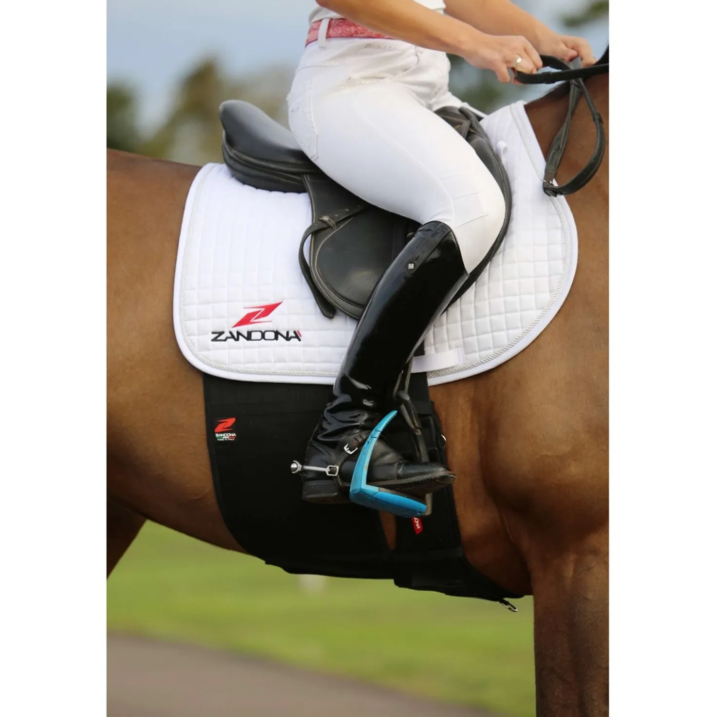 Zandona Buikbeschermer Superior Chafe Guard Evo Black